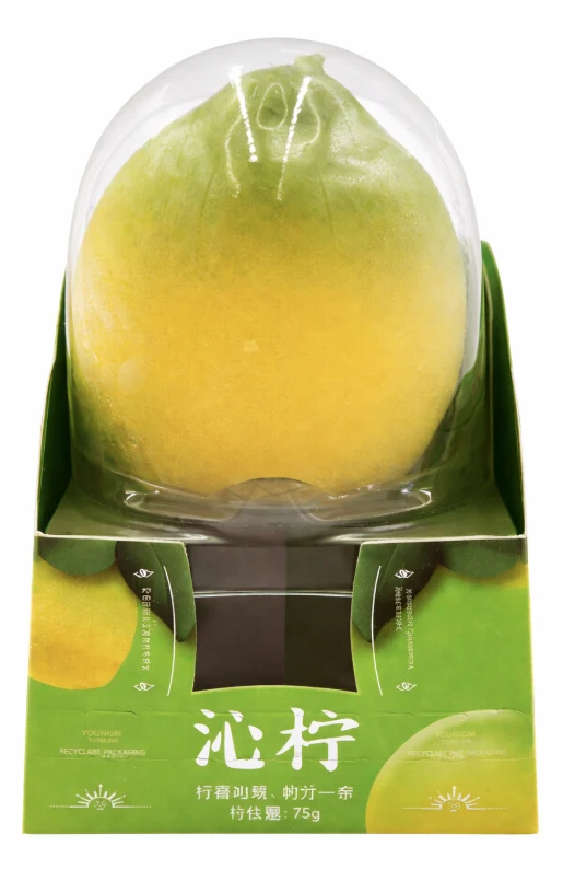 Hong Qi Lemon Yogurt